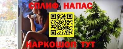 дживик Шелехов