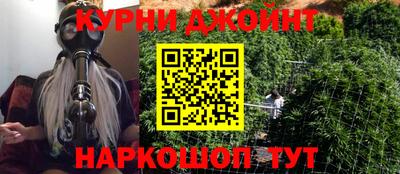 дживик Шелехов